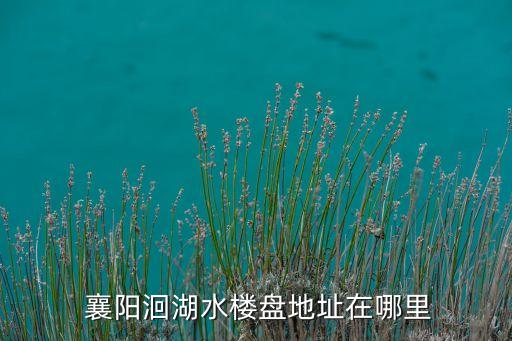  襄陽(yáng)洄湖水樓盤地址在哪里