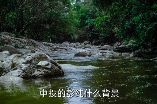  中投的彭純什么背景