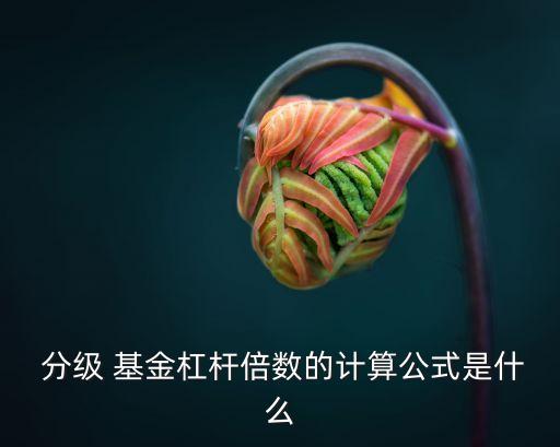  分級(jí) 基金杠桿倍數(shù)的計(jì)算公式是什么