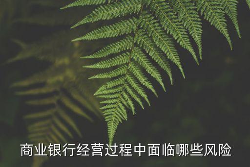  商業(yè)銀行經(jīng)營過程中面臨哪些風險