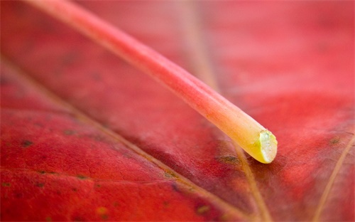 理財(cái)產(chǎn)品年利率(理財(cái)產(chǎn)品年利率6%按月還本付息實(shí)際利率)